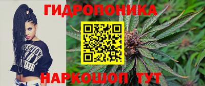 spice Лесосибирск