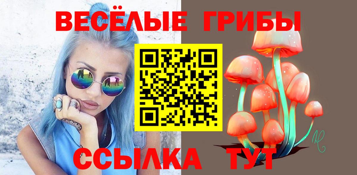 Галлюциногенные грибы Cubensis Сыктывкар
