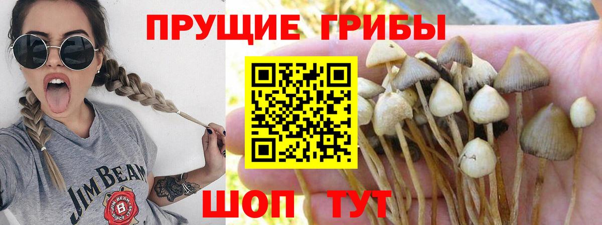 Сыктывкар  Галлюциногенные грибы Cubensis  Вход с VPN  Псилоцибиновые грибы Psilocybine cubensis 